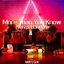 More Than You Know (Wingx Bootleg)专辑