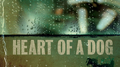 Heart of a Dog专辑