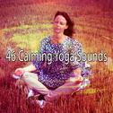 46 Calming Yoga Sounds专辑