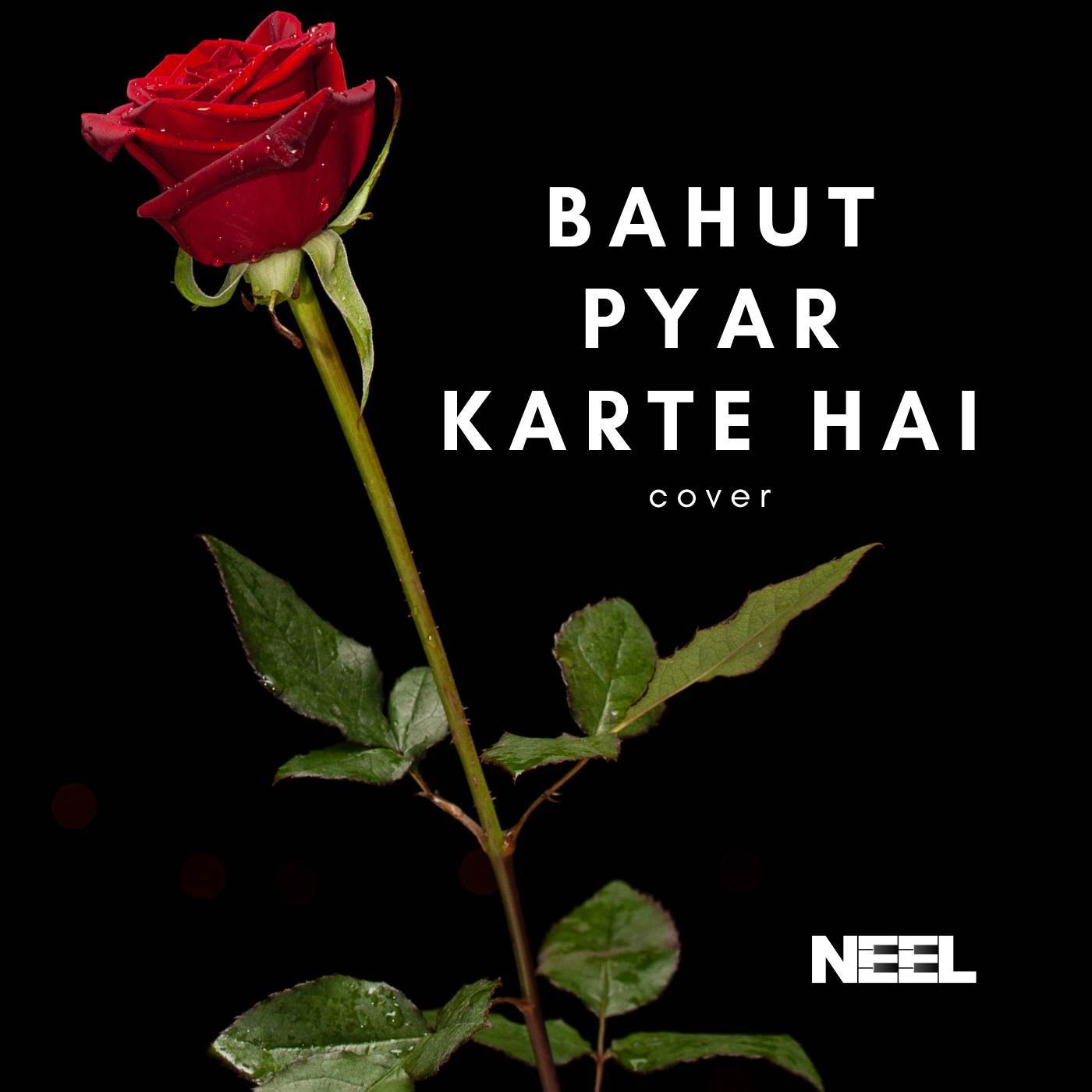 Bahut Pyar Karte Hai
