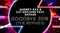 Goodbye 2018 (The Remixes)专辑