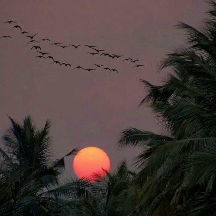 治愈·音药|一抹夕阳恰似你的温柔 | 在线播放 | 网易云音乐
