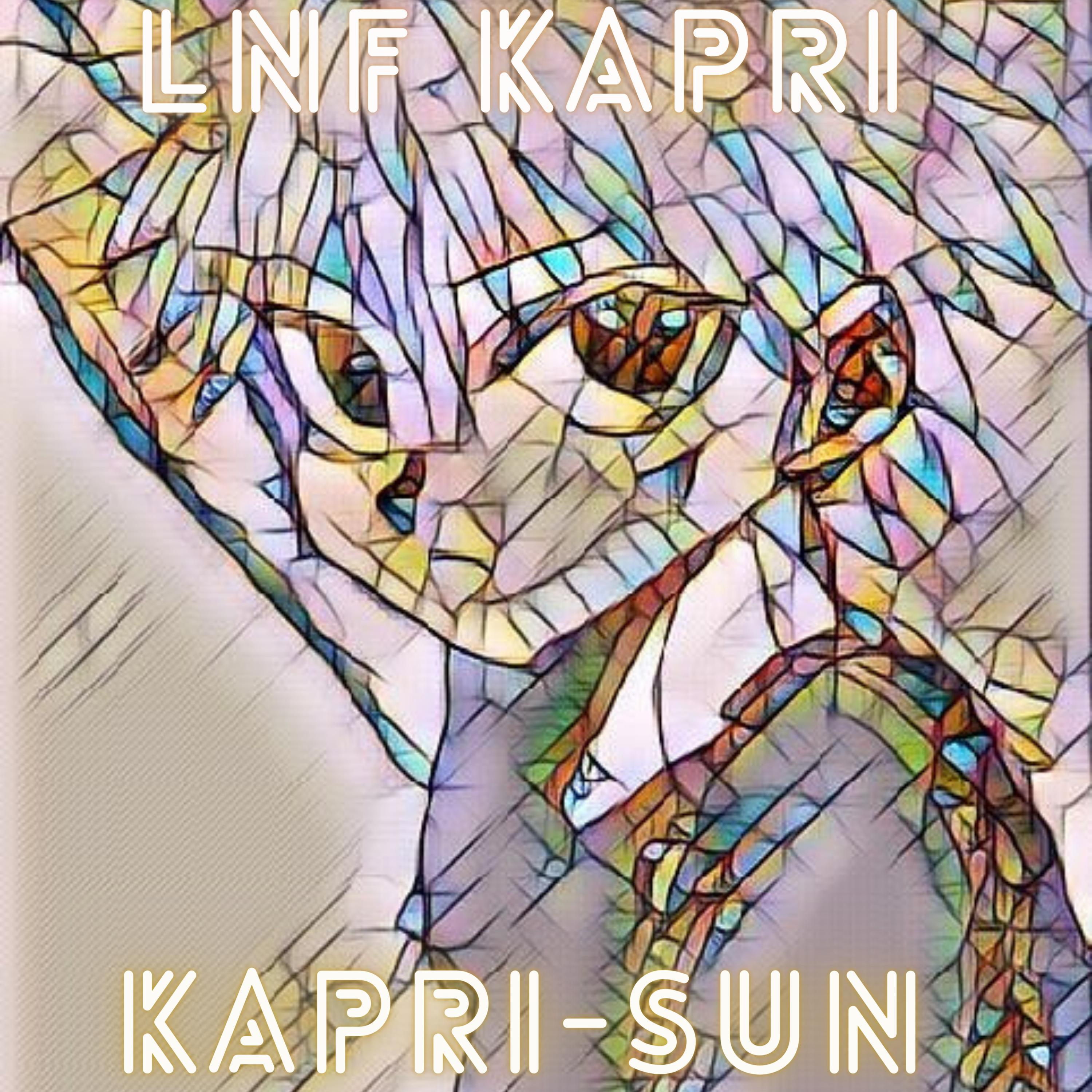 LNF Kapri - Stick and Move