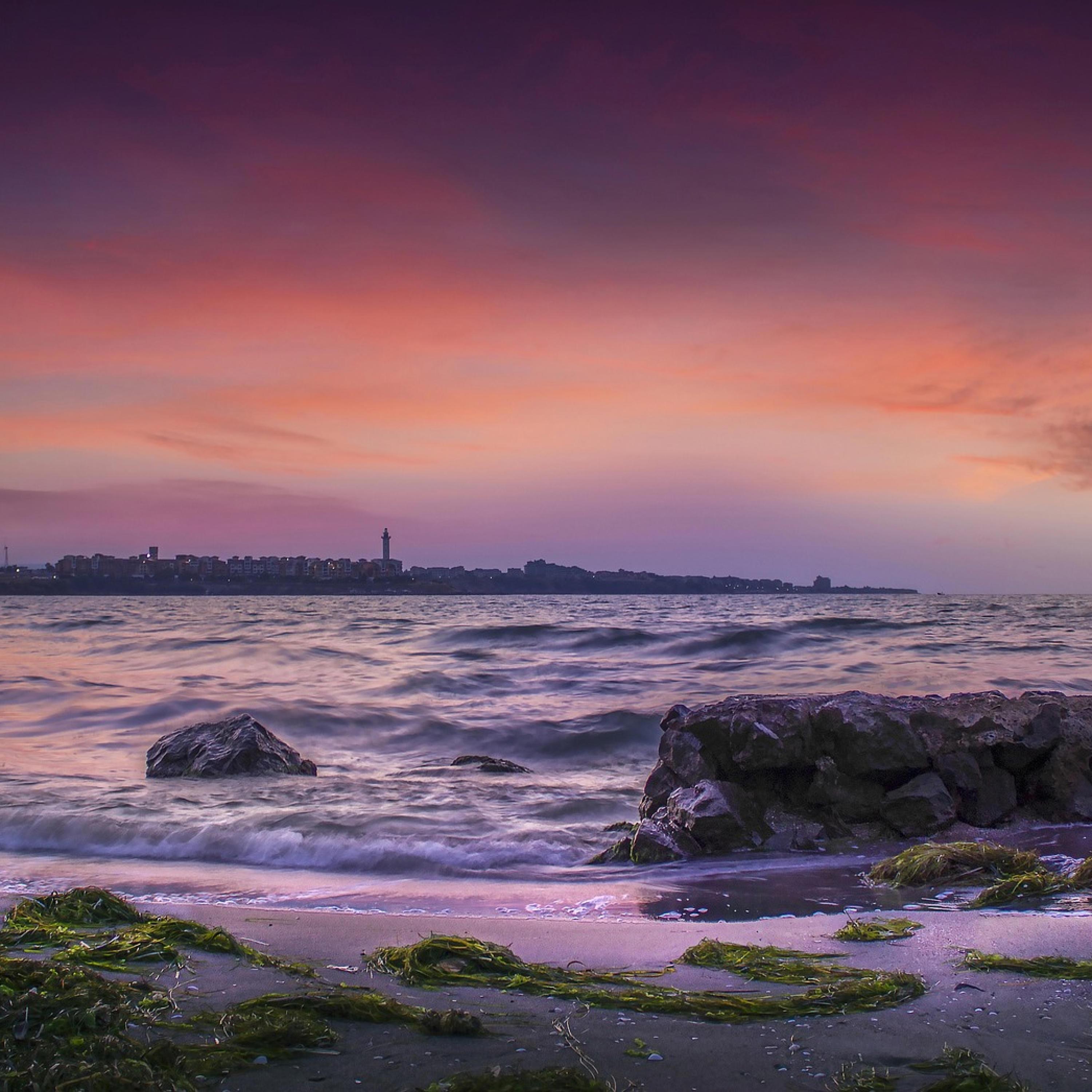 This Morn. Every next one