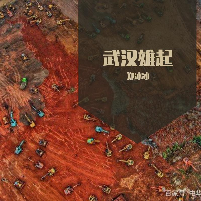 武汉雄起