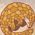 Pangolin Dreams