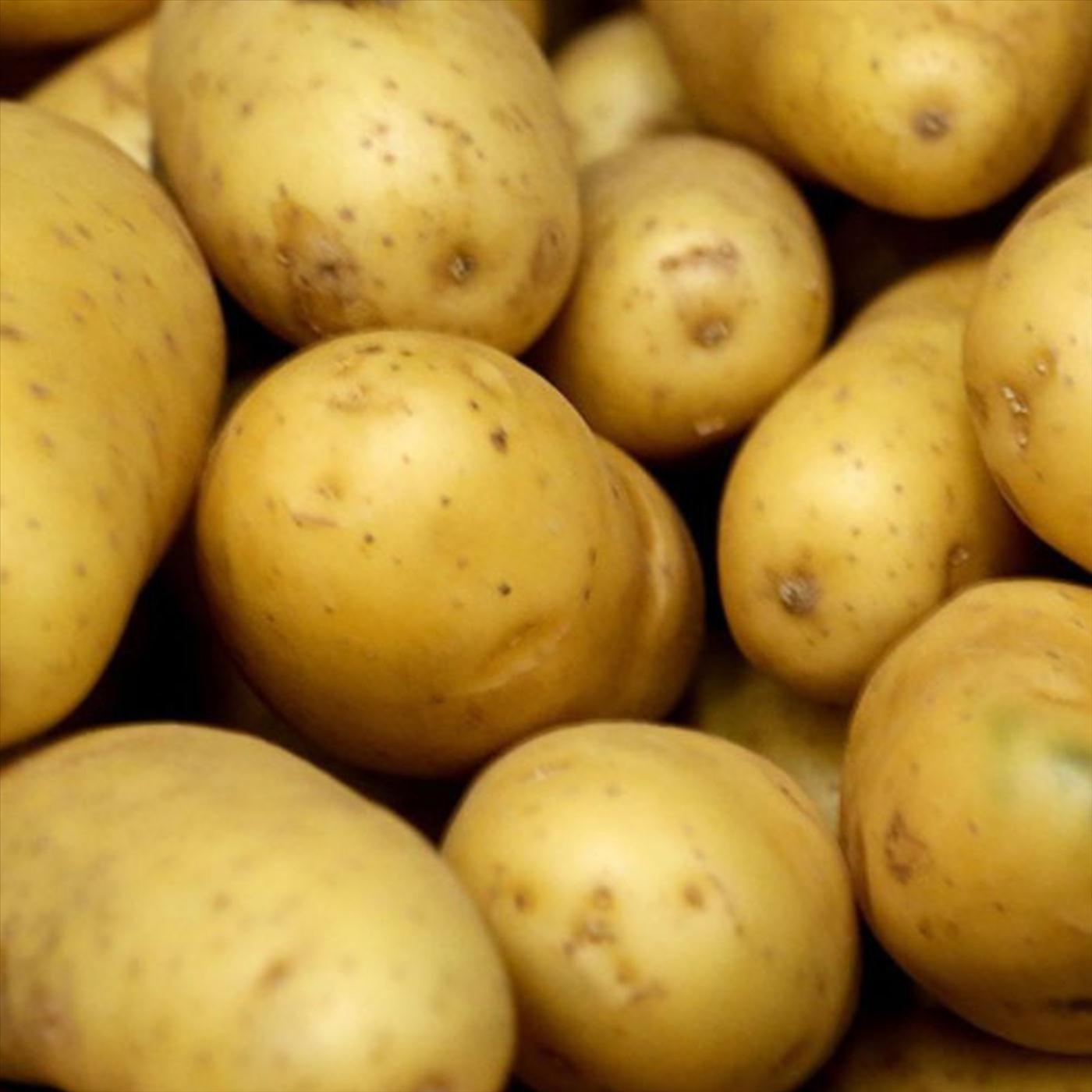 L'Ère De La Patate (Chanson avec vos commentaires)