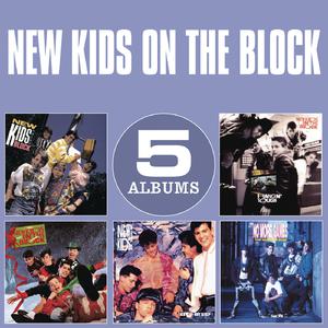 Didn't I (Blow Your Mind This Time) - New Kids On The Block (PT karaoke) 带和声伴奏