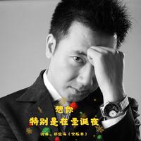 想你,特别是在圣诞夜--女声版