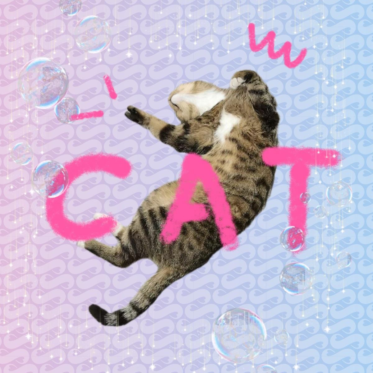 喵
