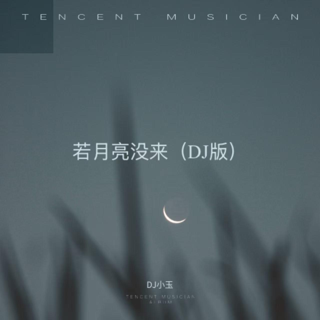 若月亮没来（DJ版）