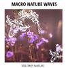 Wave of Bliss Ocean Music - Fresh Nature Water