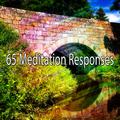 65 Meditation Responses