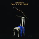 NA TTE NAI (VIBE SELECTOR)专辑
