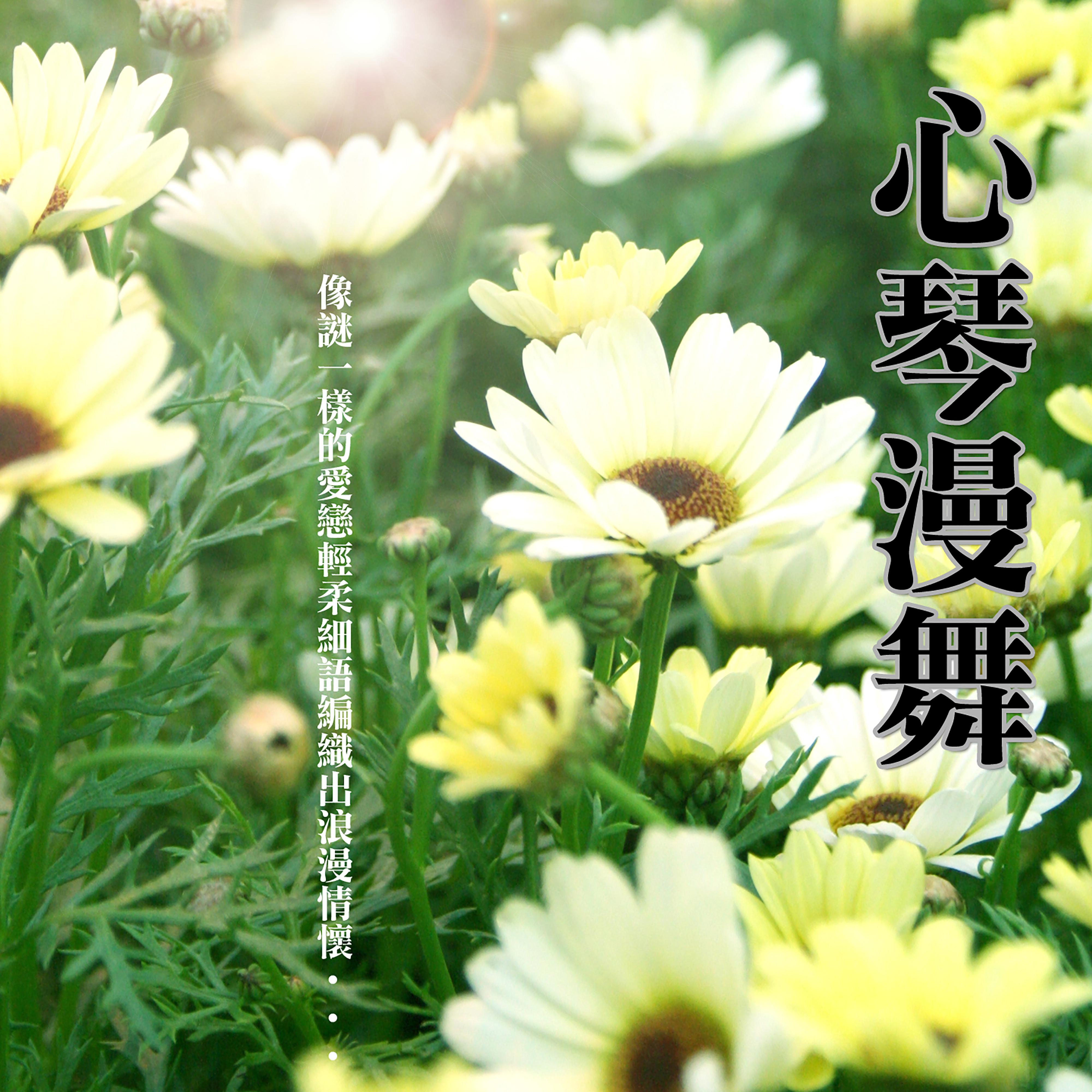 心琴漫舞