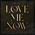 Love Me Now (feat. FAST BOY)