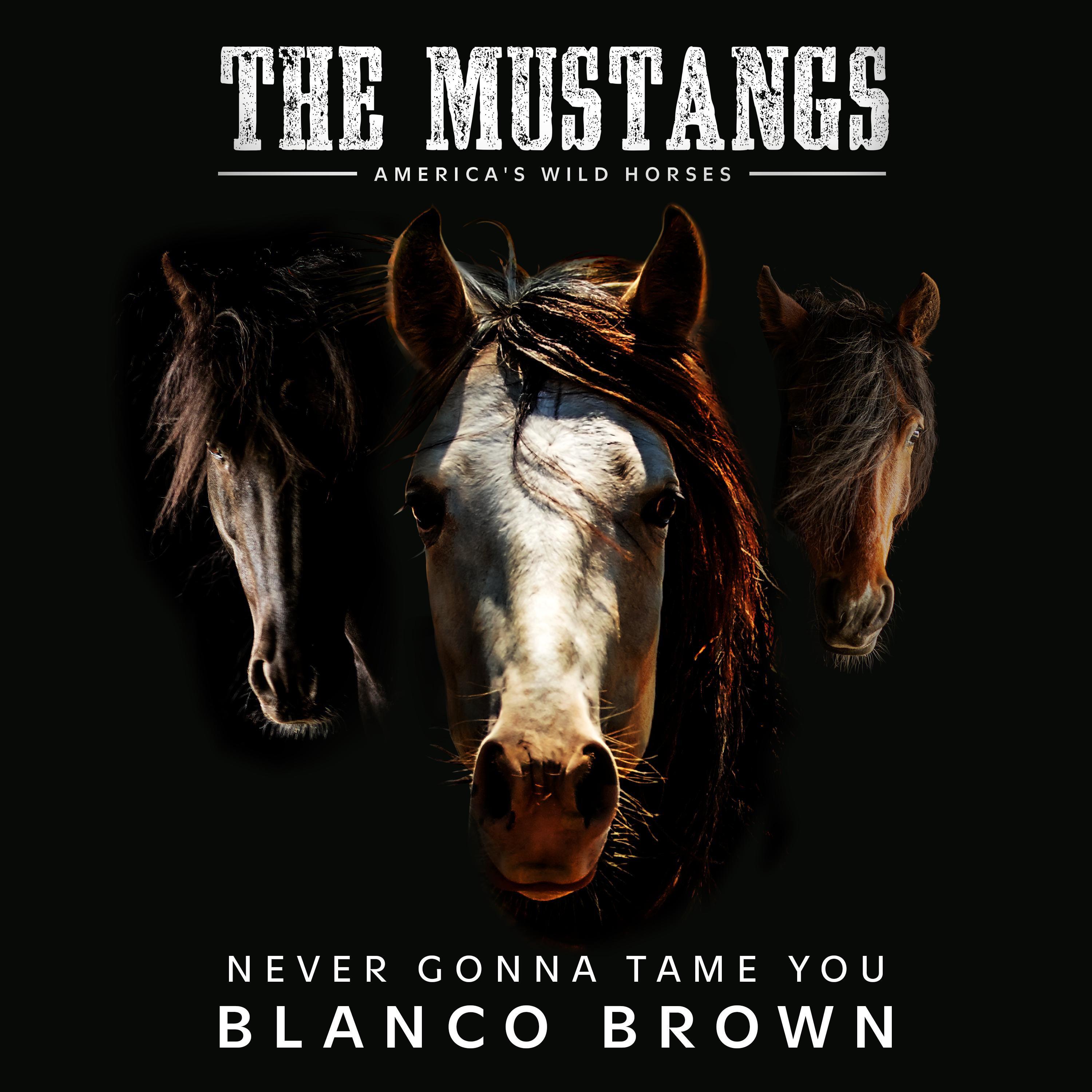 Blanco Brown - Never Gonna Tame You (Original Song from “The Mustangs: America’s Wild Horses”)