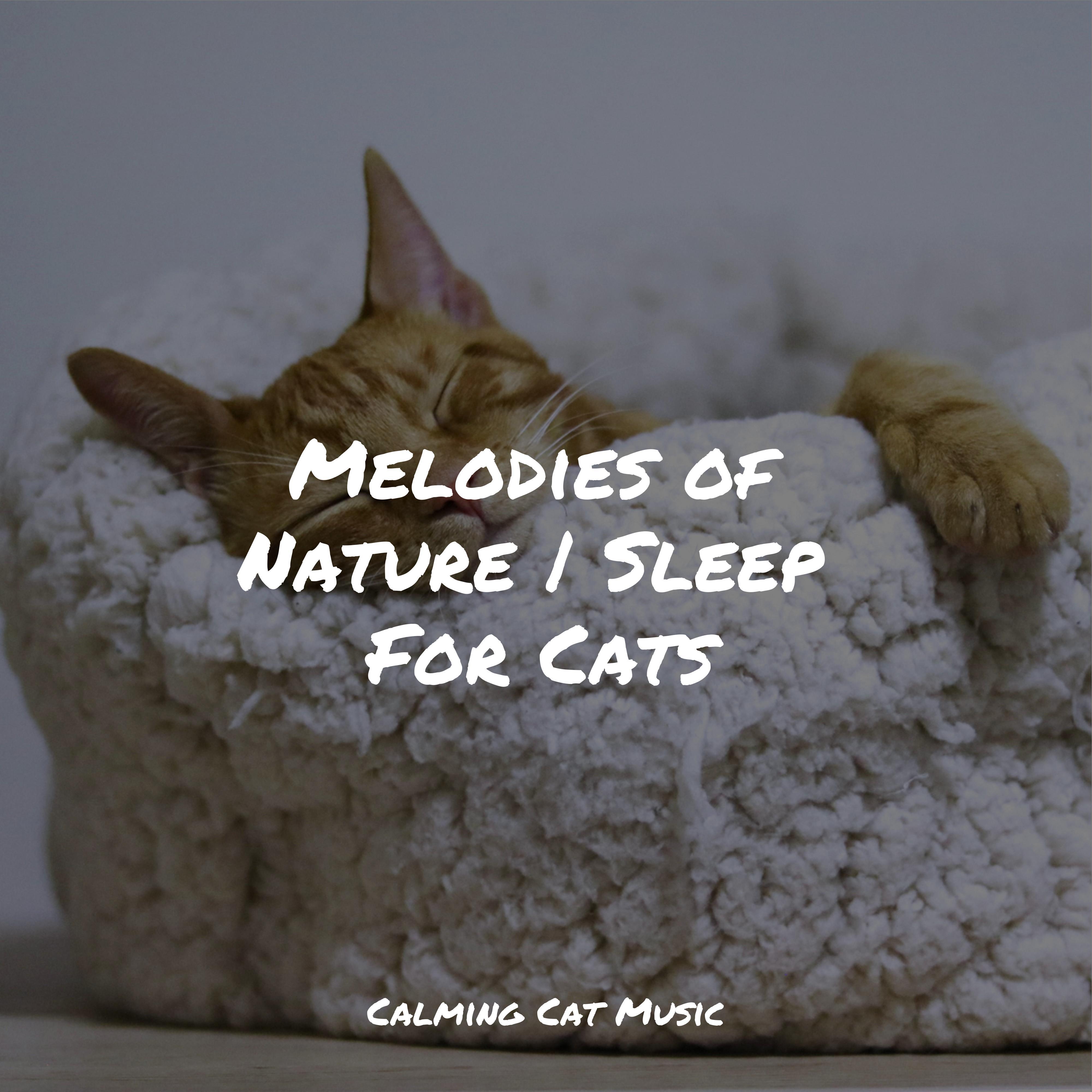 Jazz Music for Cats - Sleepy Head