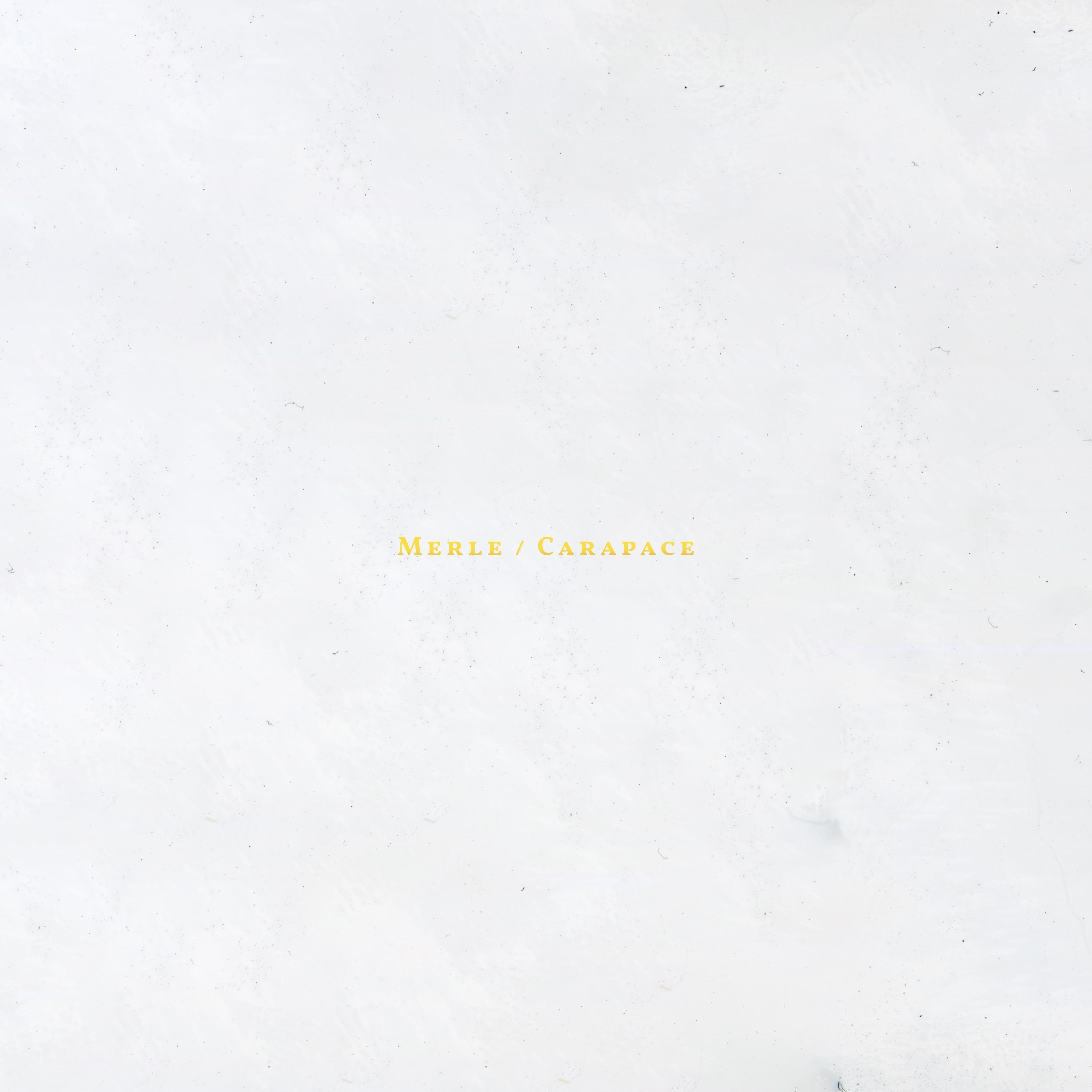 Lettre Ouverte (Album Sampler)