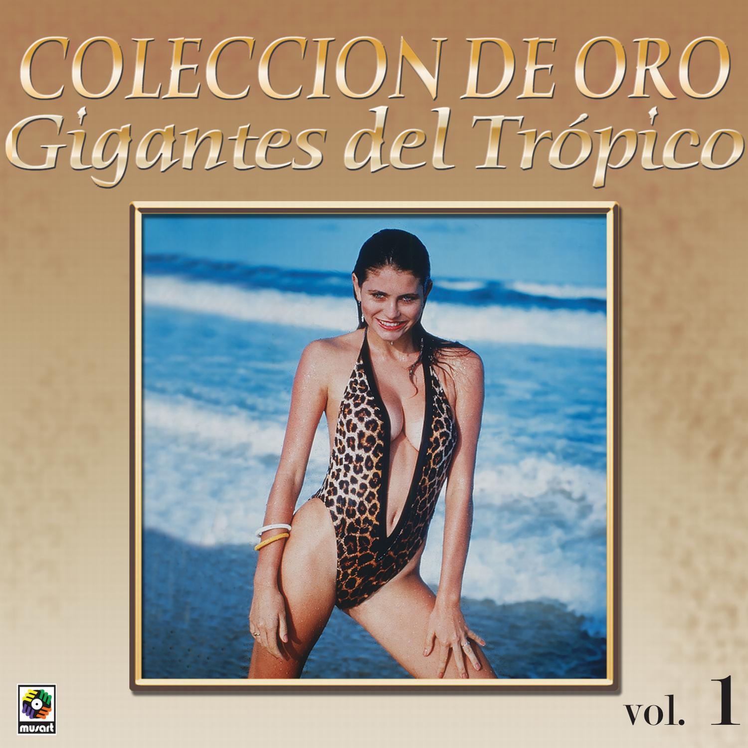 Gigantes Del Tropico Vol.1专辑