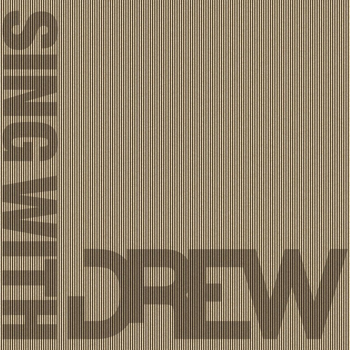 Sing with DREW