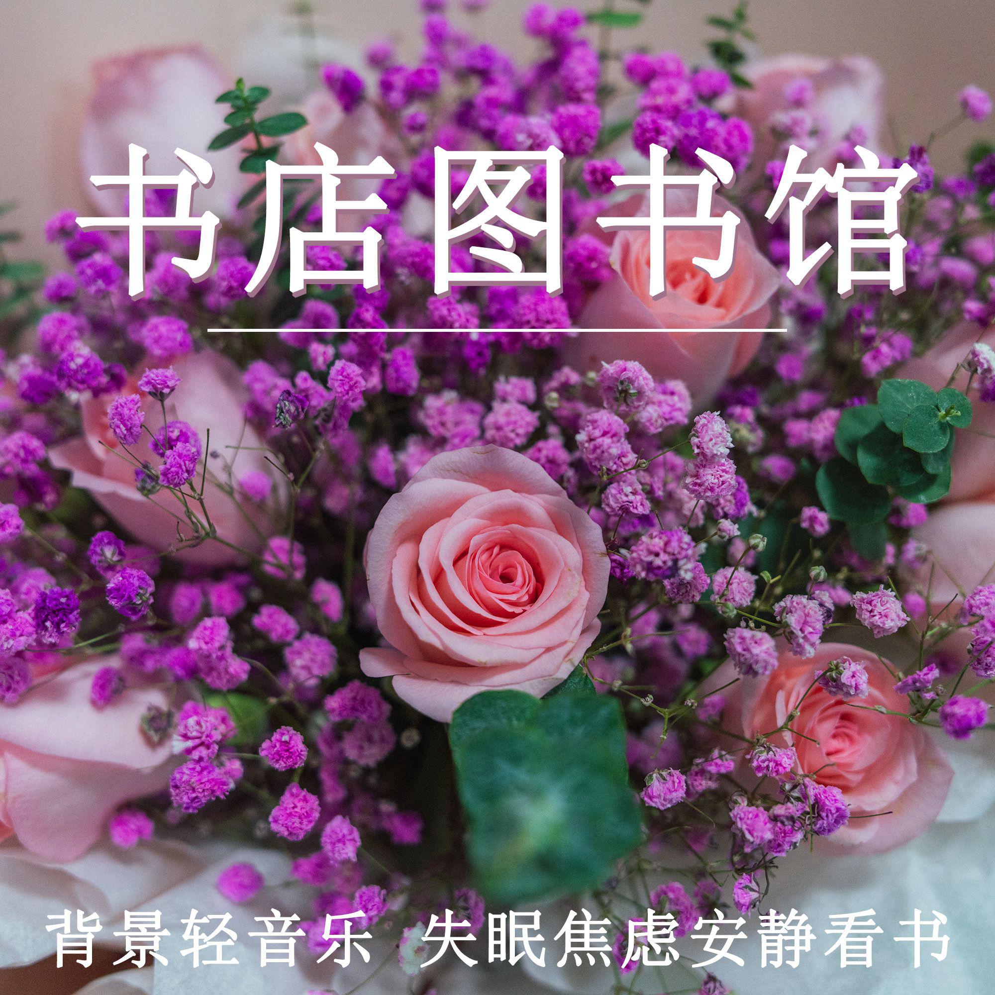 书店图书馆 背景轻音乐 失眠焦虑安静看书