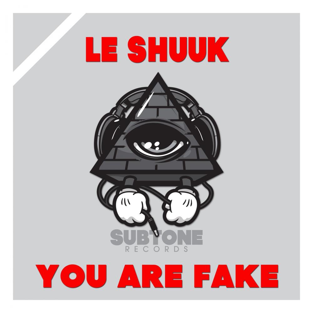 You Are Fake专辑