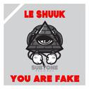You Are Fake专辑