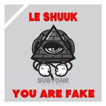 You Are Fake专辑
