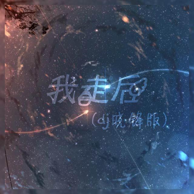 我走后(DJ晓锋版)