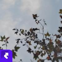 龚玉坤 - 忘记了时间也忘了你(live)