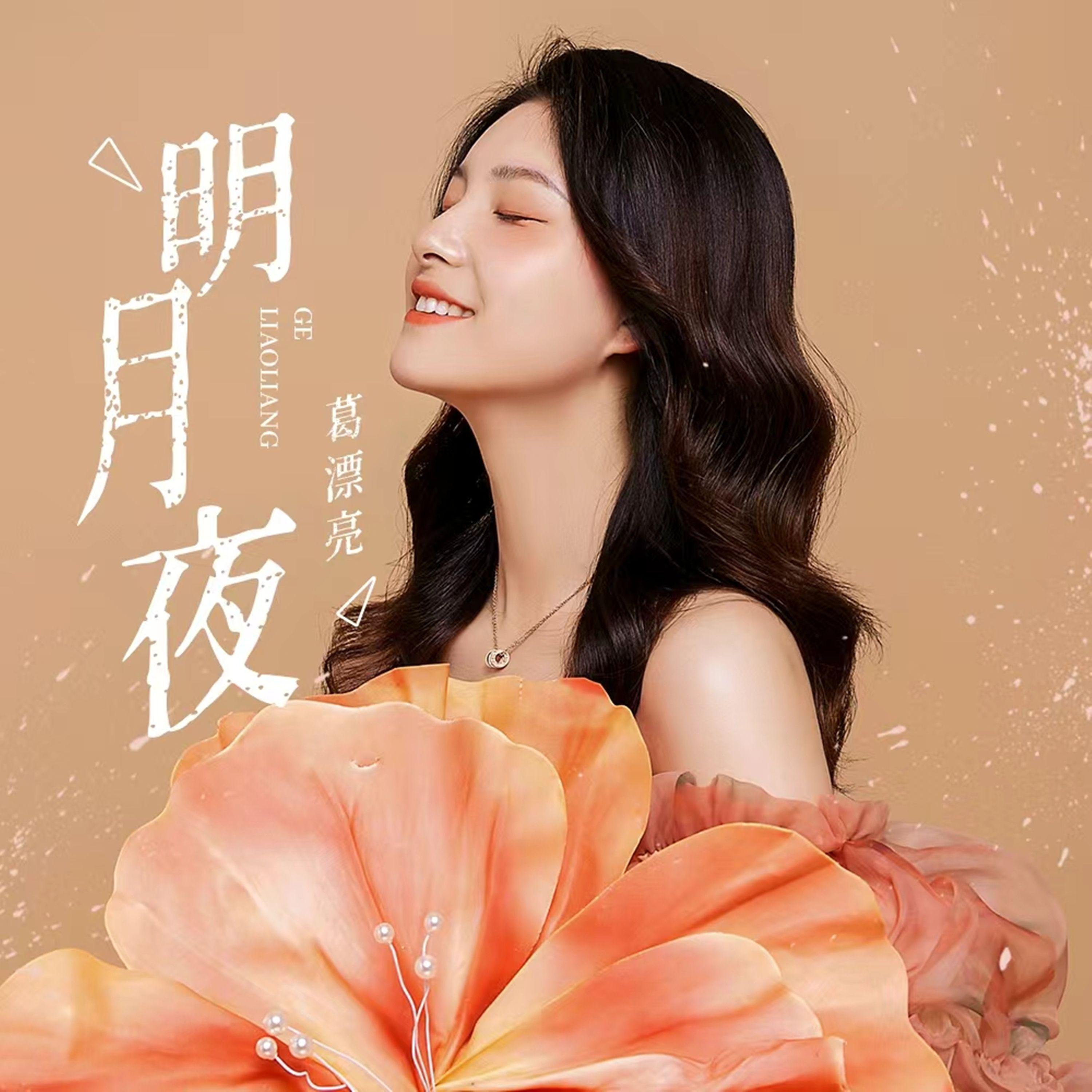 葛漂亮 - 明月夜(Dj斤六 ProgHouse Rmx 2024)