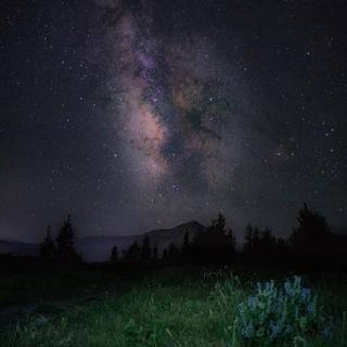 【冷门电音】星光掩盖下的绝美苍穹