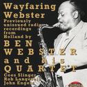 Wayfaring Webster专辑