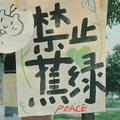励志音乐｜前奏崛起 向著生活殺去歌单
