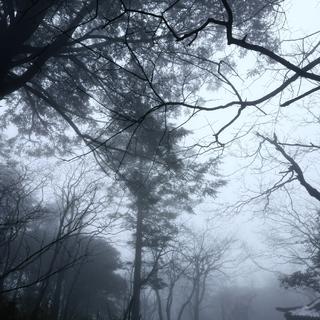 你总认为机会无限 所以才不珍惜眼前人