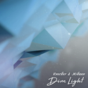 暗光 Dim Light专辑