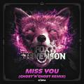 Miss You (Ghost'n'Ghost Remix)