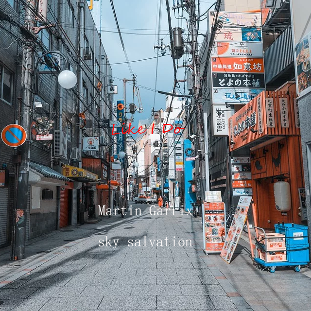 Like I Do【Remix】Martin Garrix（sky-salvation Remix）