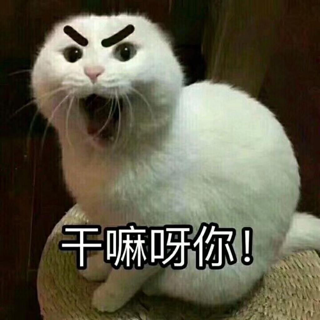 雾草！！这么动感