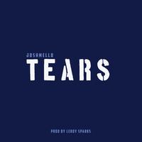 气势音乐:Hidenori Shoji-Lyricism without tears