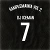 Dj Iceman - What I'd Do