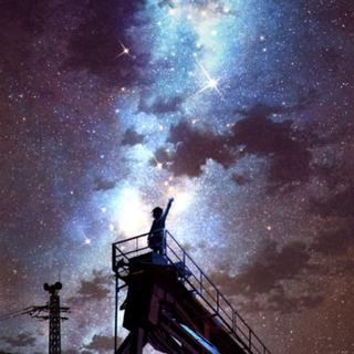 幻想集│花鸟风月之梦