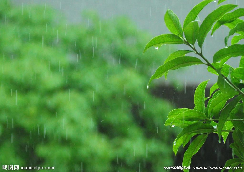 雨晴专辑