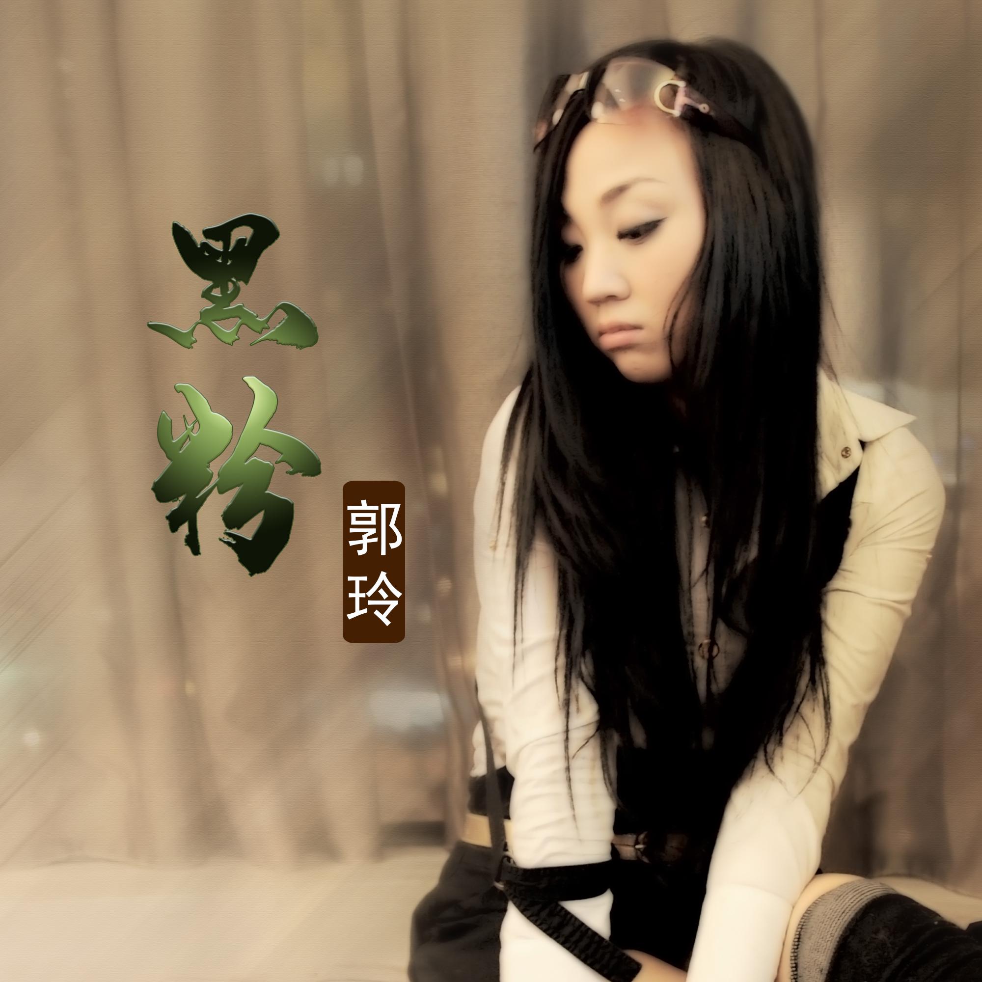 黑粉 (DJ何鹏版)