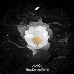 Avicii,Rita Ora - Lonely Together(BrayDenim Remix)