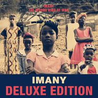 Imany - The good, the bad and the crazy (remix unofficial Instrumental)