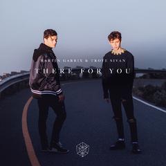 Martin Garrix,Troye Sivan《There For You吉他谱》E调_动人心弦的版本