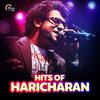 Haricharan - Aethu Kari Raavilum (From 