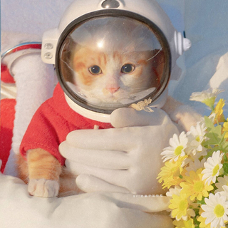 在爱你的过程中，我遇见了自己